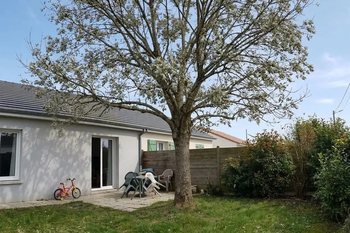 Avant les travaux : exemple : grand arbre abattu dans un petit jardin
