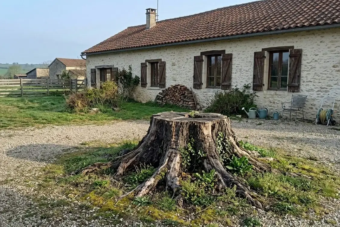 Avant les travaux : exemple : grosse souche rognée dans une cour gravillonnée