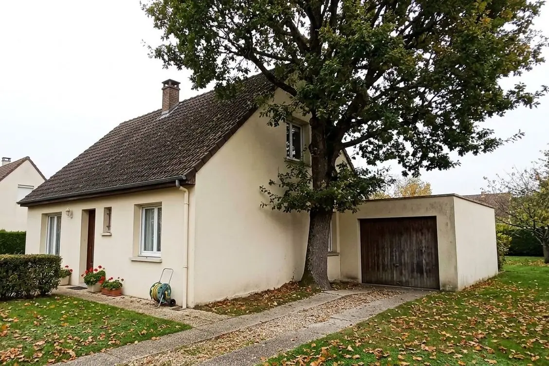 Avant les travaux : exemple : grand arbre réduit contre une façade